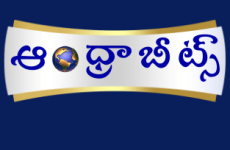 Abstract Colorful Technology Solutions Professional Logo